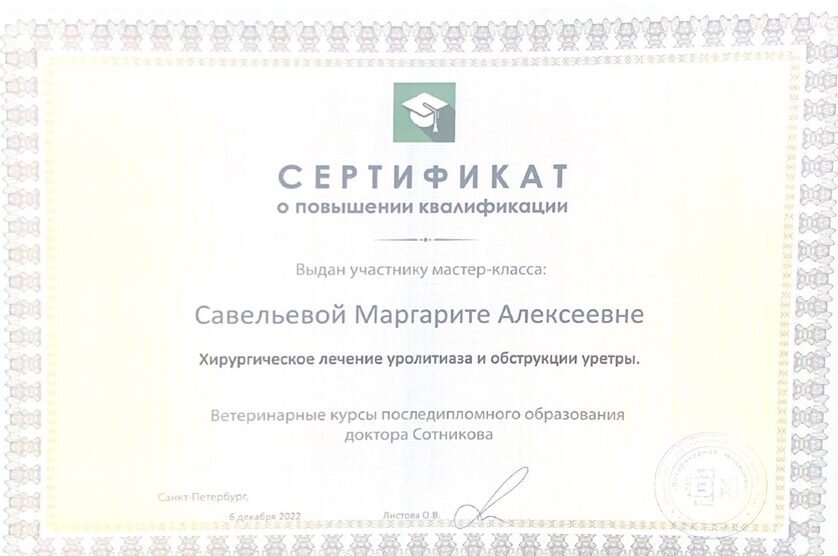 Документ или сертификат