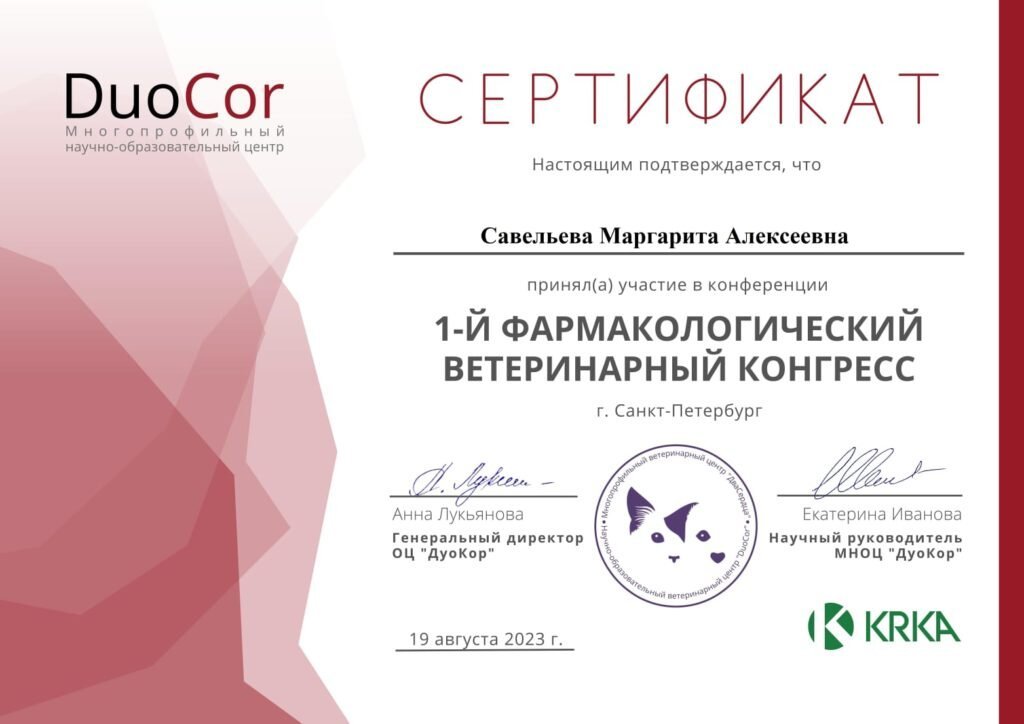 Документ или сертификат