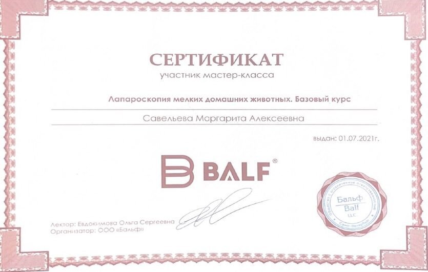 Документ или сертификат