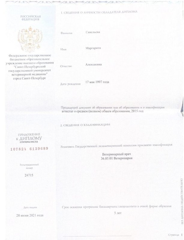 Документ или сертификат