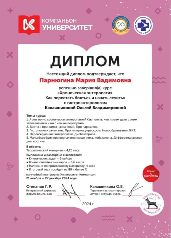 Документ или сертификат