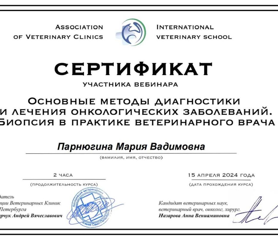 Документ или сертификат