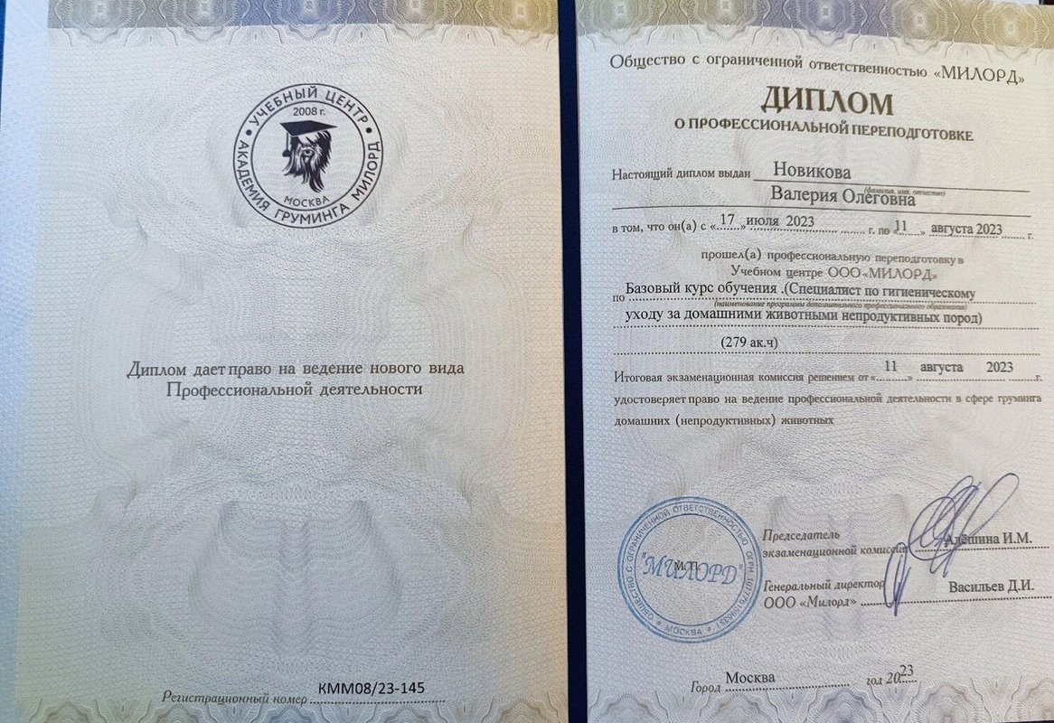 Документ или сертификат