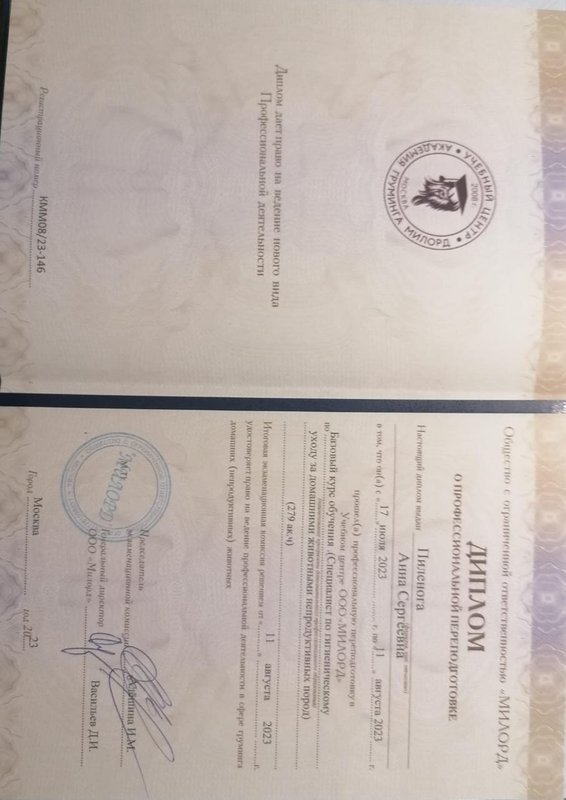 Документ или сертификат