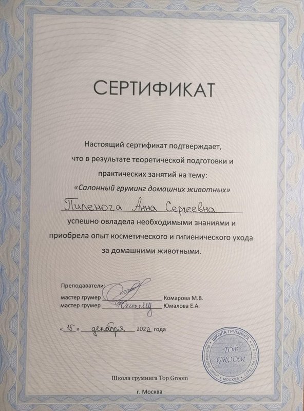 Документ или сертификат
