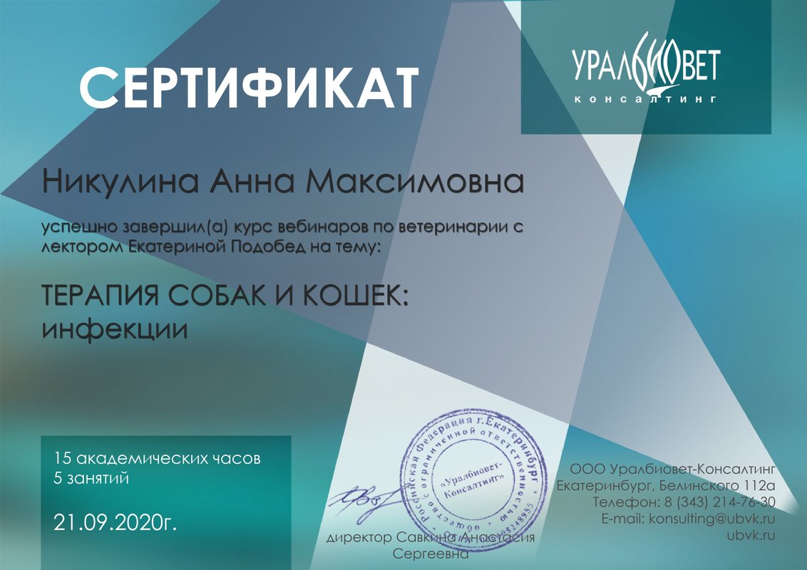 Документ или сертификат