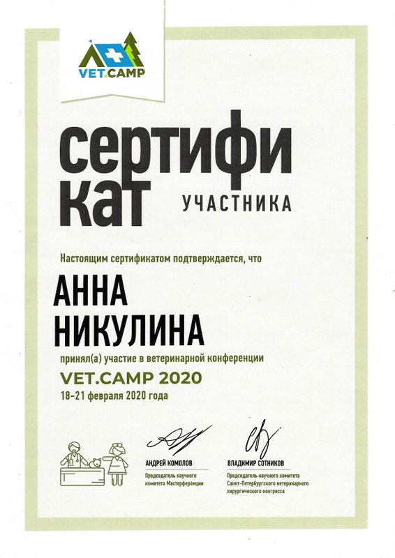 Документ или сертификат