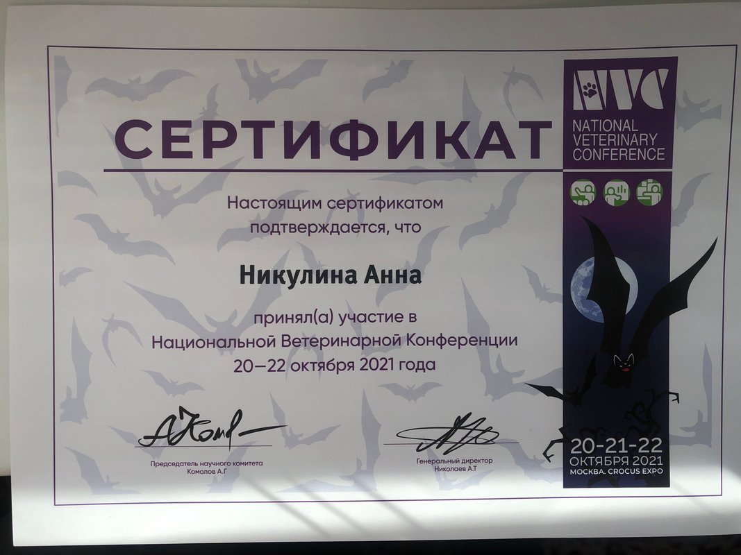 Документ или сертификат