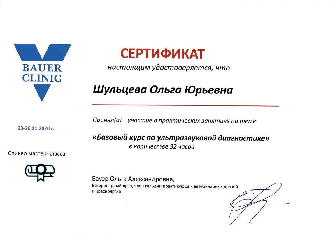 Документ или сертификат
