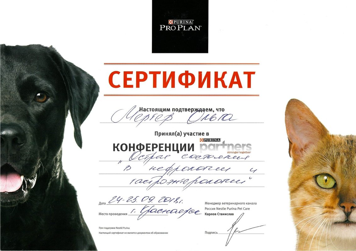 Документ или сертификат