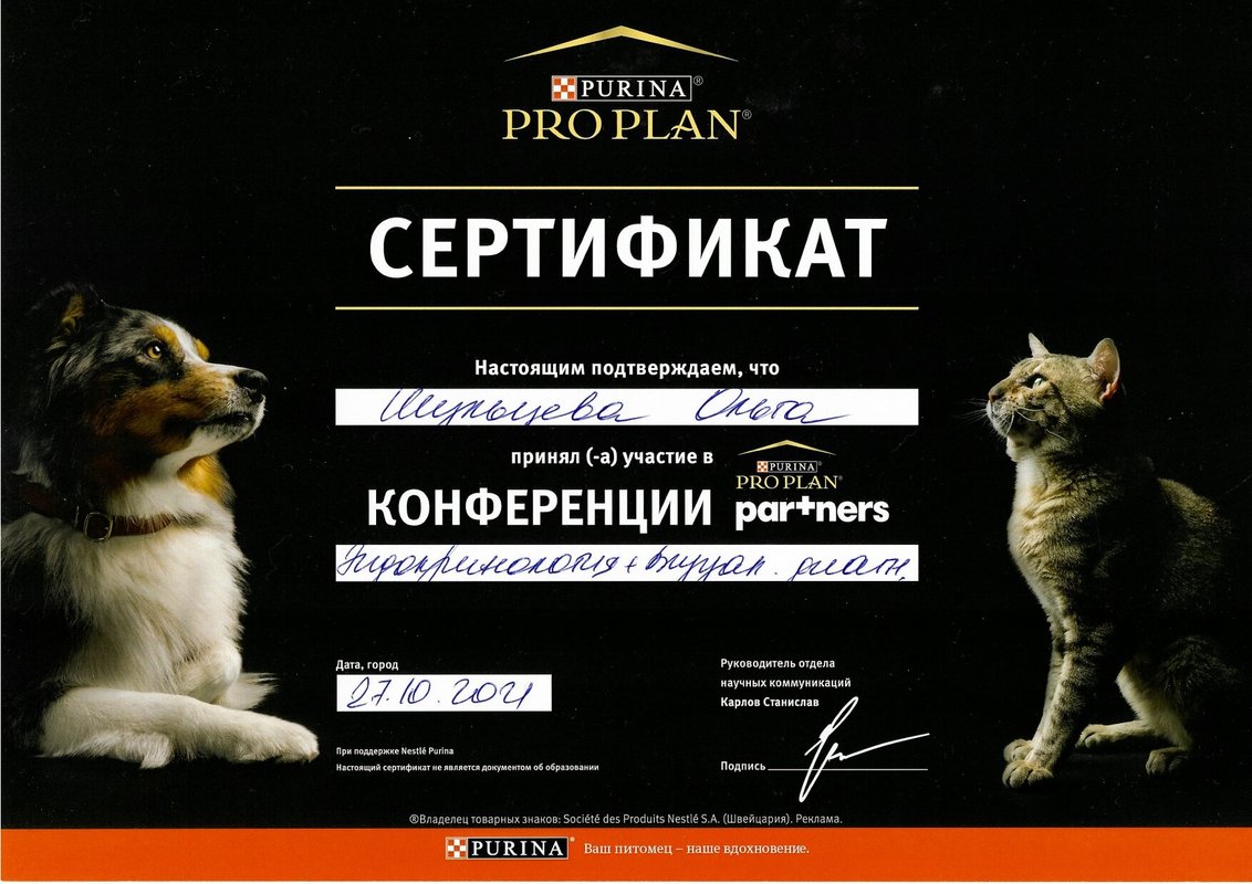 Документ или сертификат