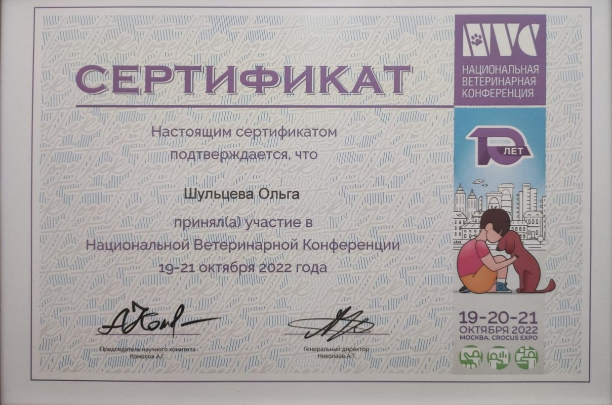 Документ или сертификат