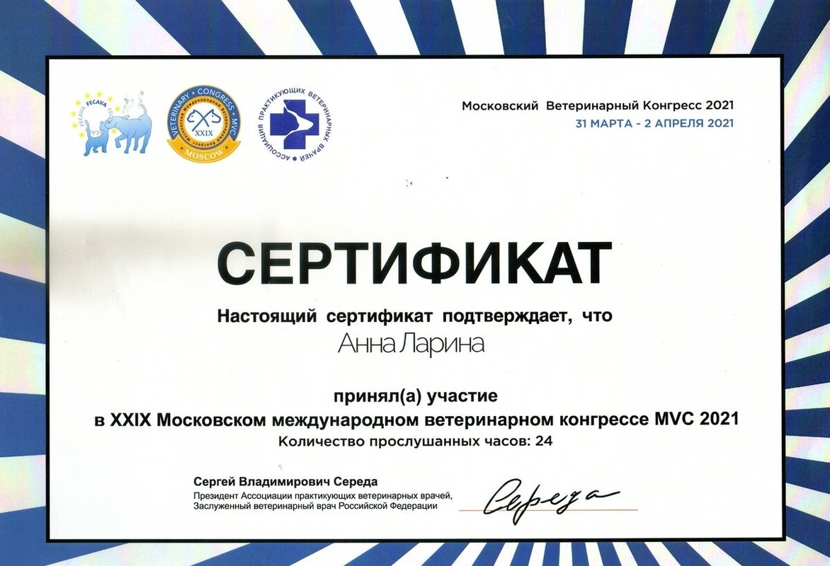 Документ или сертификат