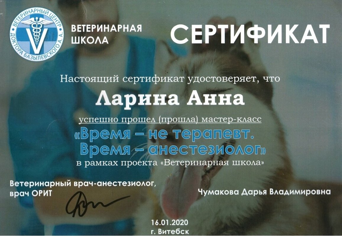 Документ или сертификат