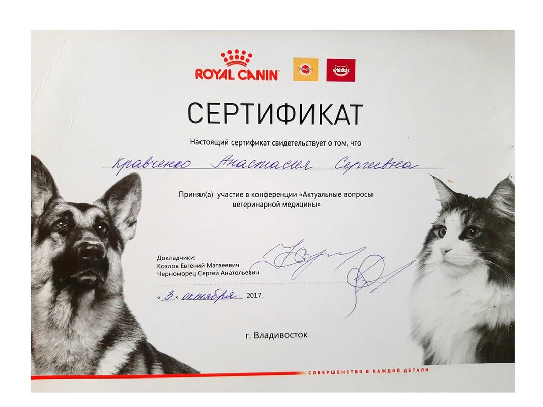 Документ или сертификат