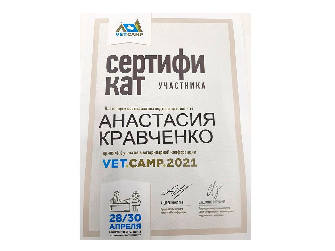 Документ или сертификат