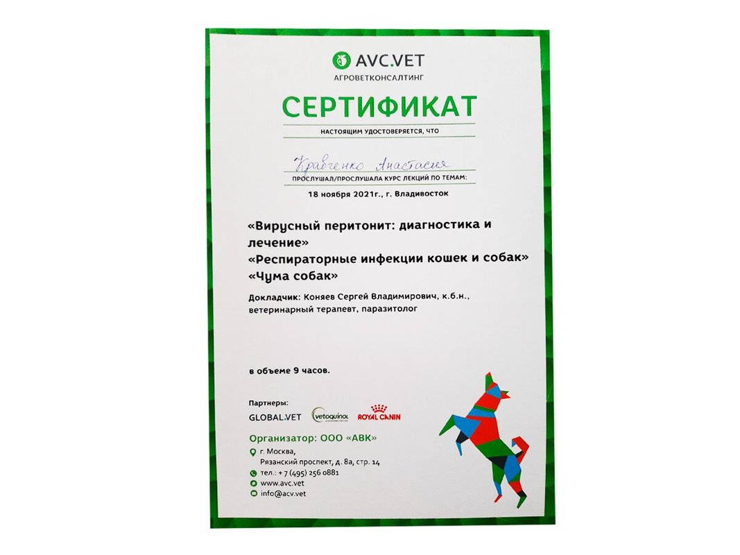 Документ или сертификат