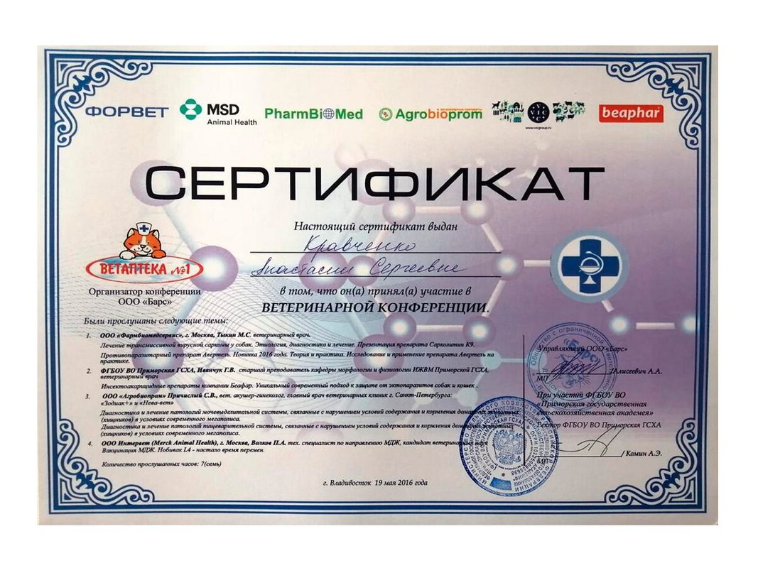 Документ или сертификат