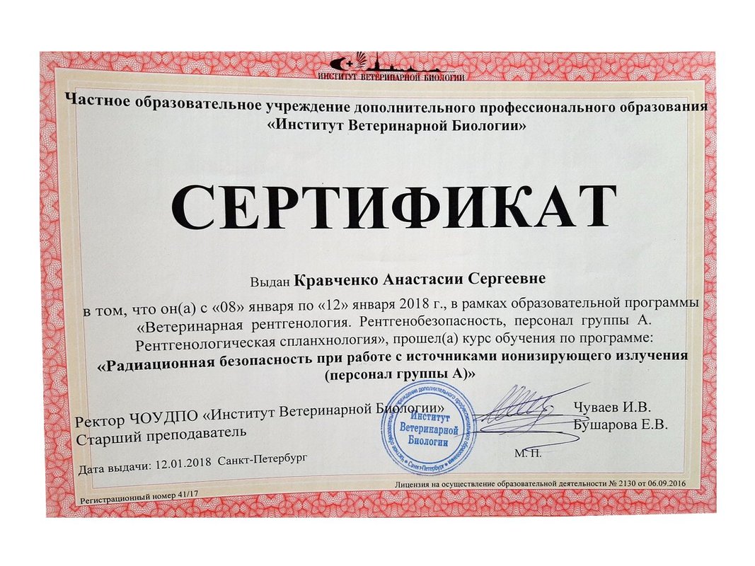 Документ или сертификат