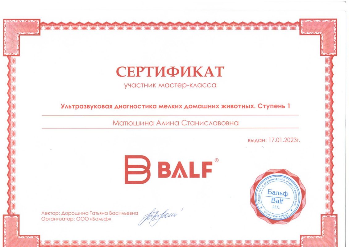 Документ или сертификат