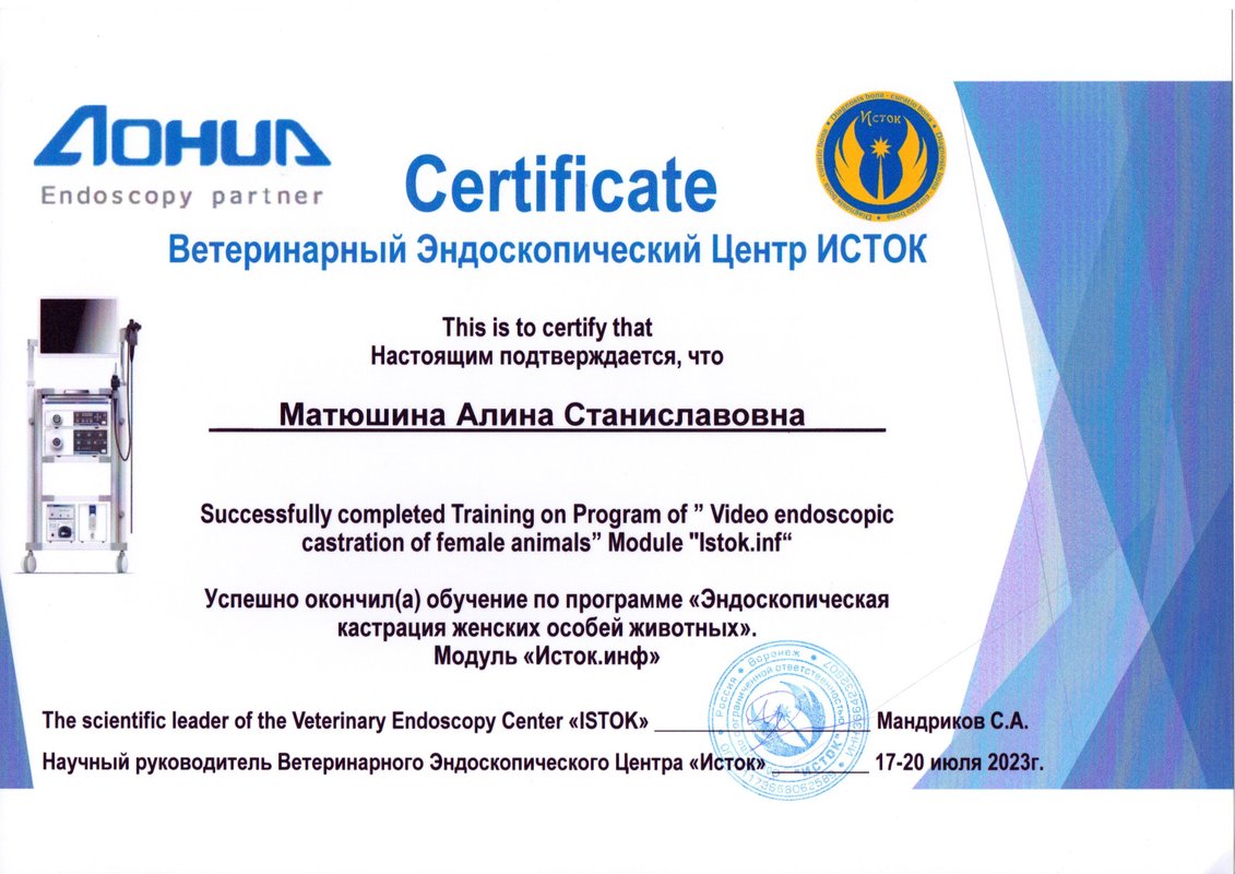Документ или сертификат