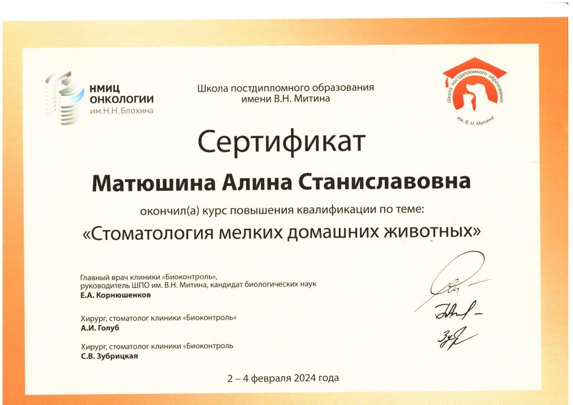 Документ или сертификат