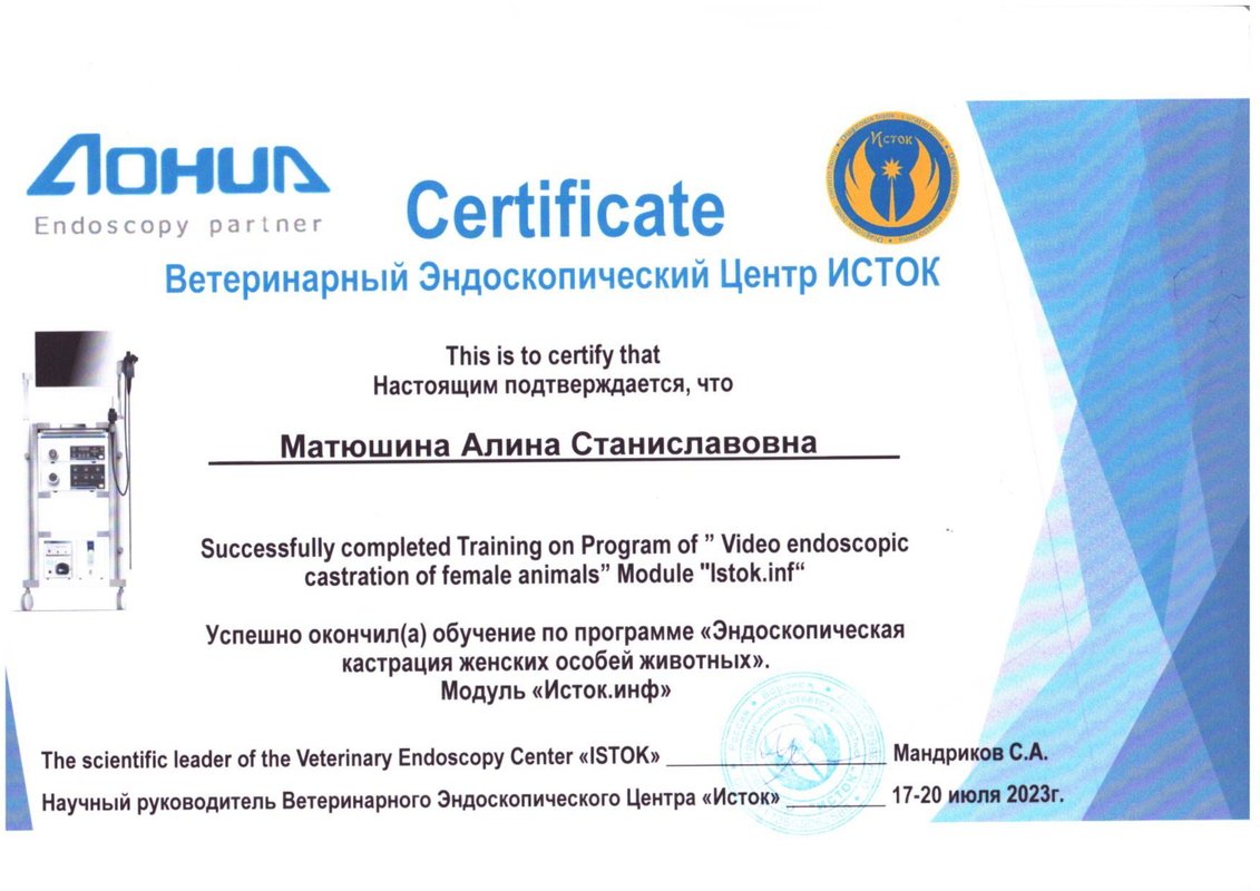 Документ или сертификат