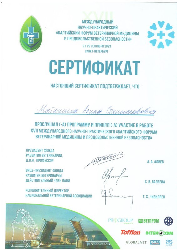Документ или сертификат
