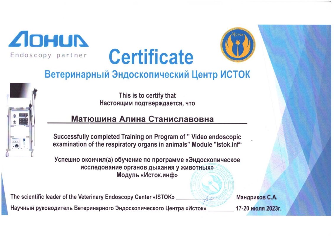 Документ или сертификат