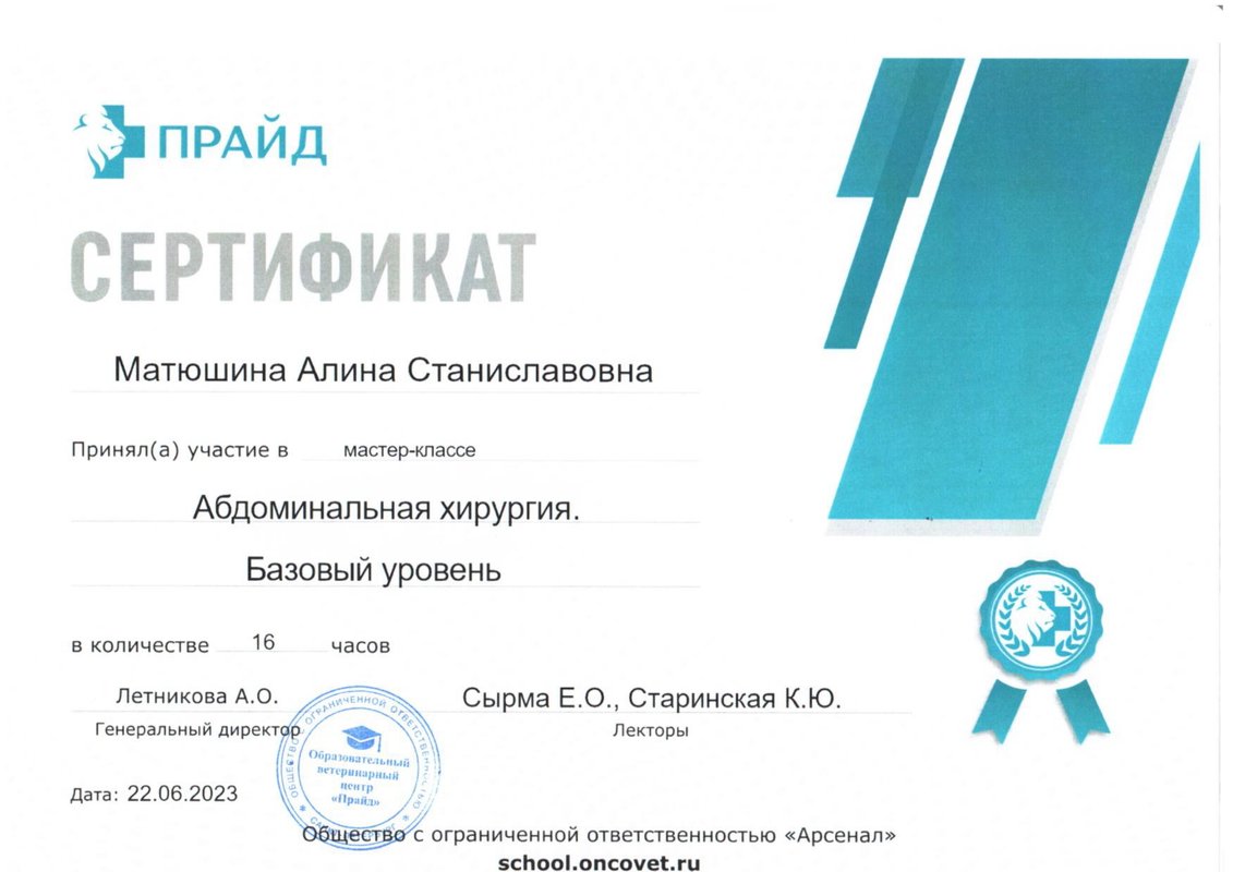 Документ или сертификат