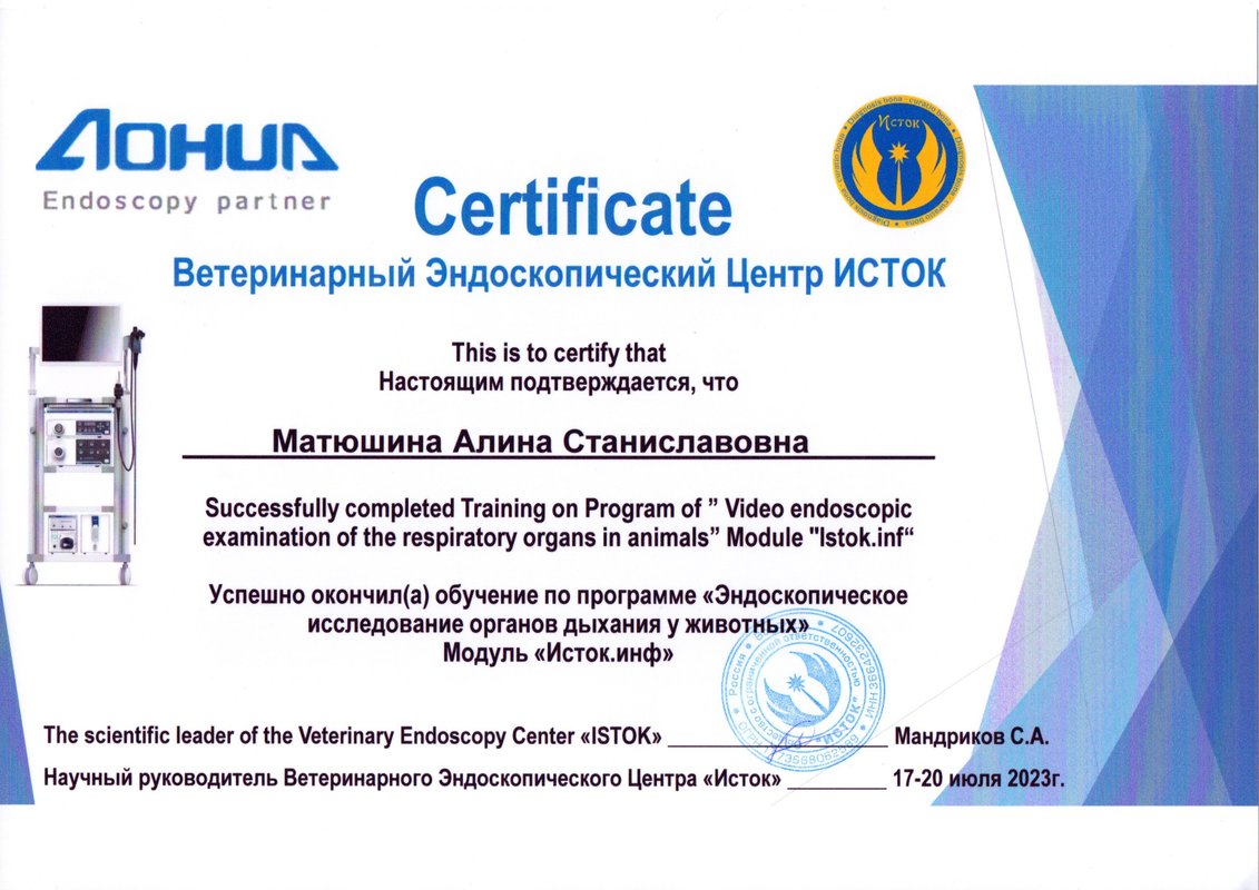 Документ или сертификат