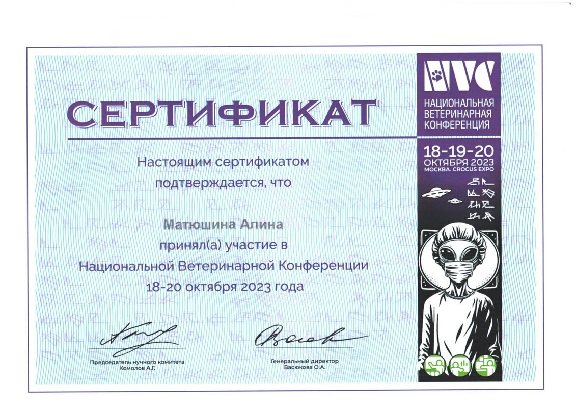 Документ или сертификат