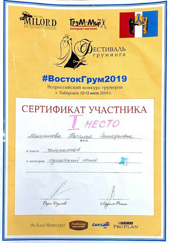 Документ или сертификат