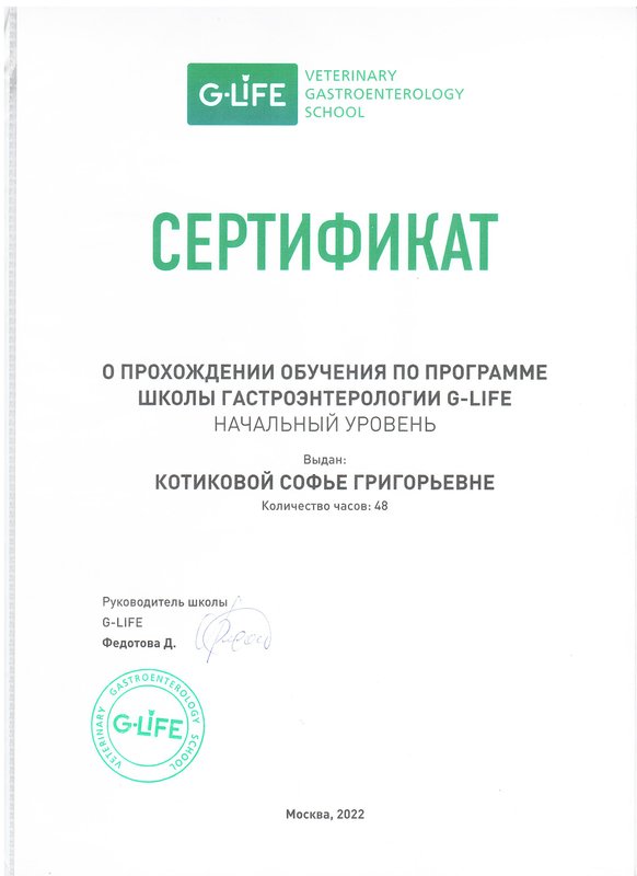 Документ или сертификат