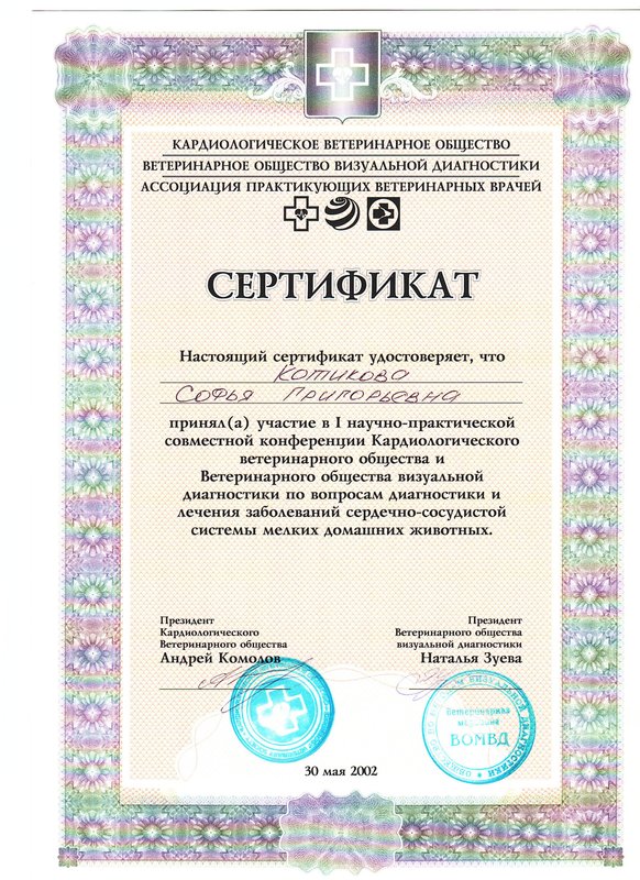 Документ или сертификат