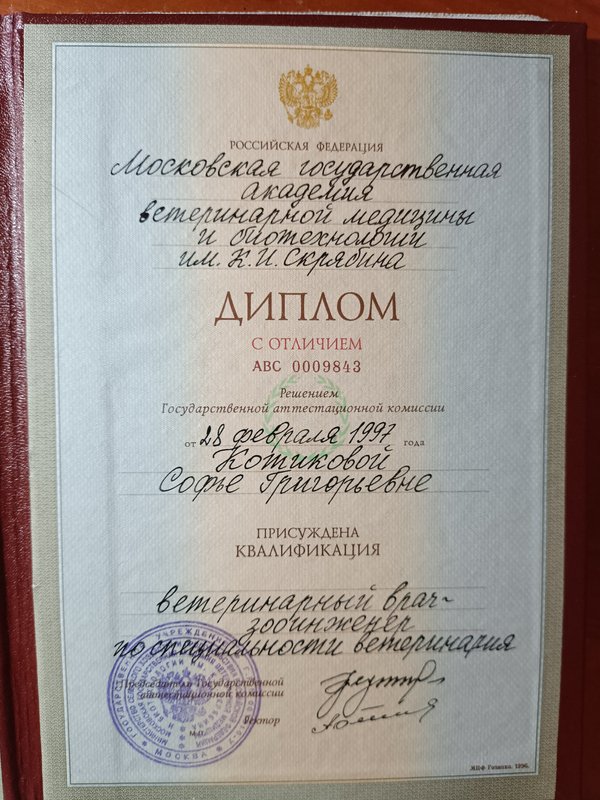 Документ или сертификат