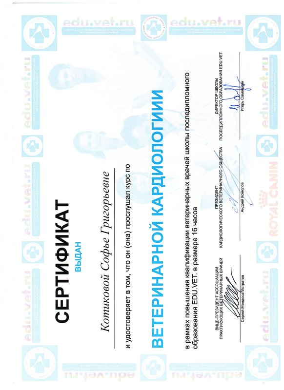 Документ или сертификат