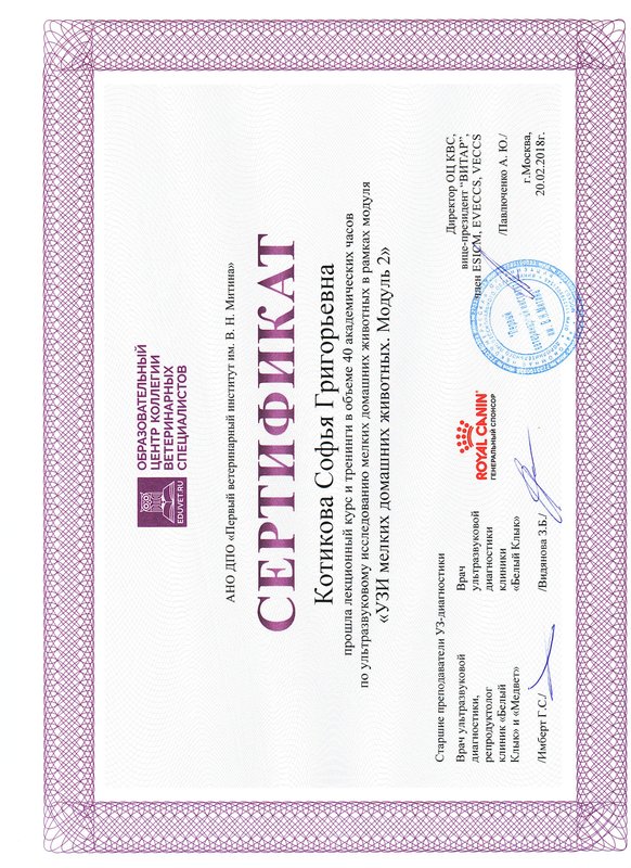 Документ или сертификат