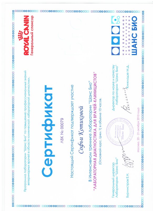 Документ или сертификат
