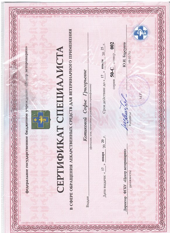Документ или сертификат