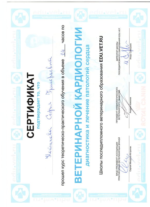 Документ или сертификат