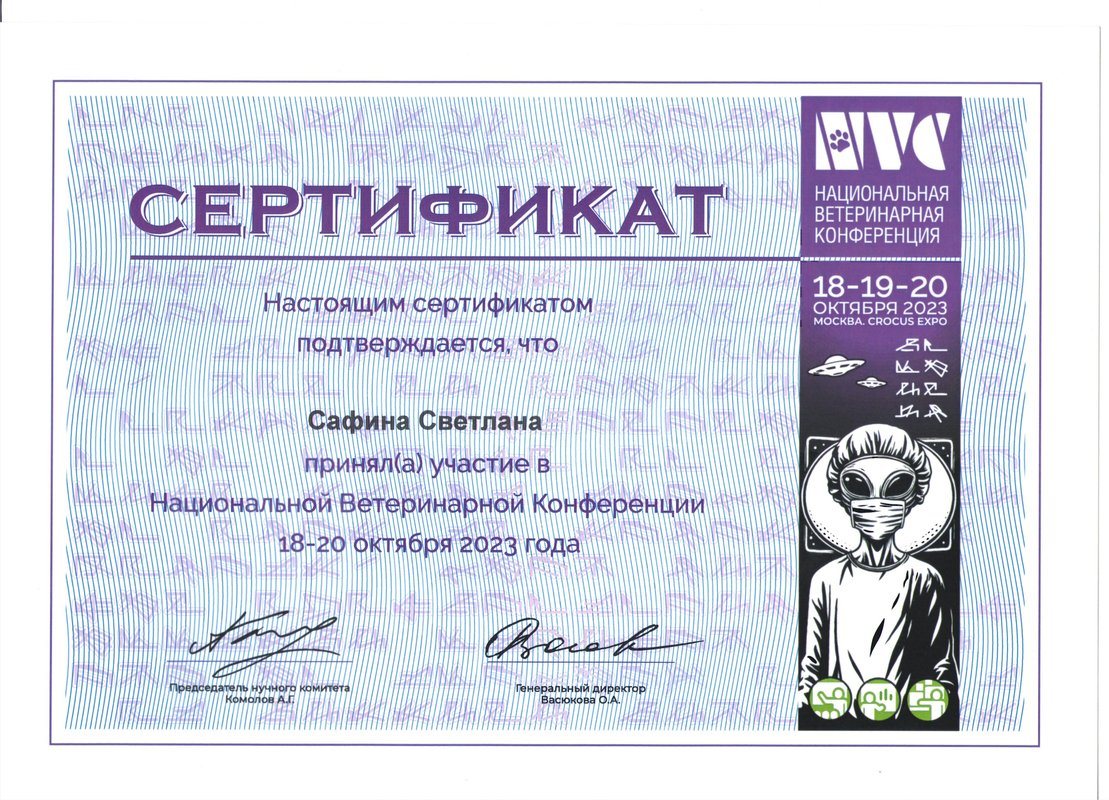 Документ или сертификат