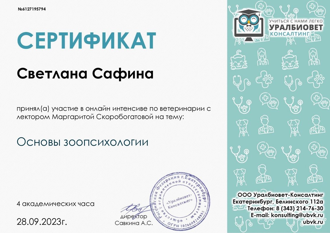 Документ или сертификат
