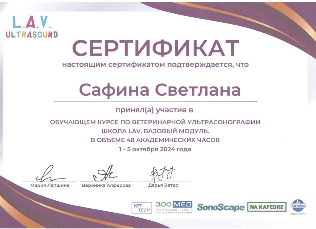 Документ или сертификат
