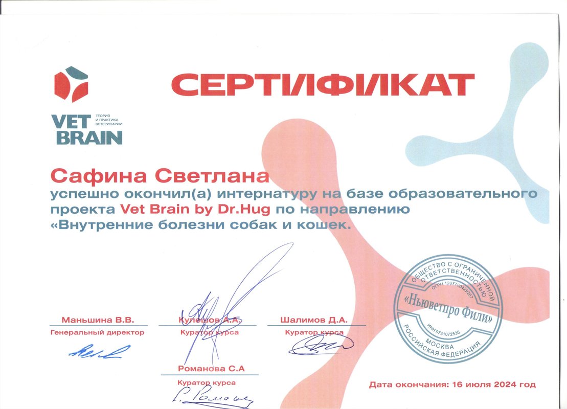 Документ или сертификат