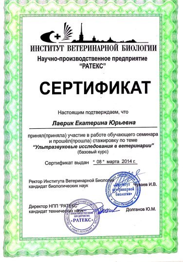 Документ или сертификат