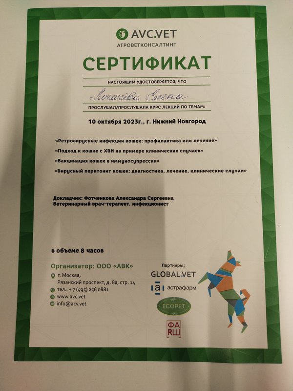 Документ или сертификат