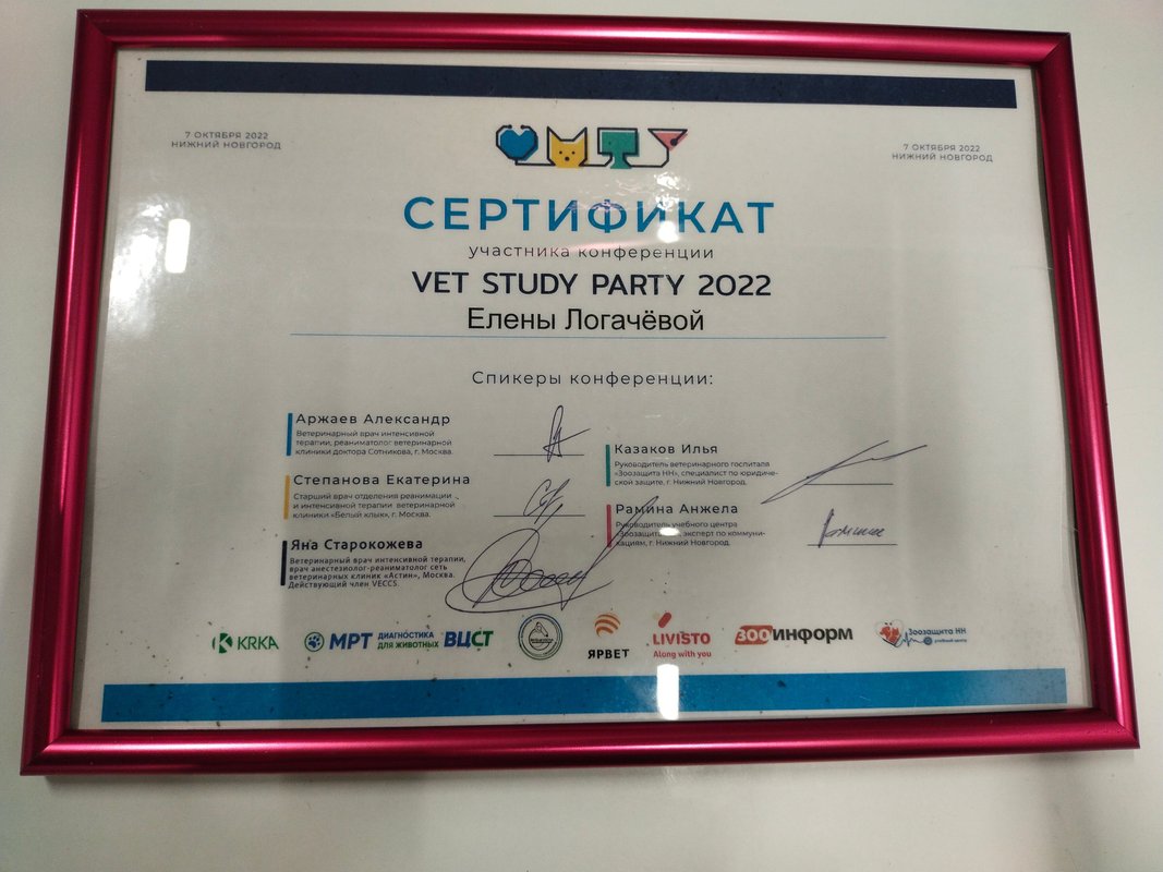 Документ или сертификат