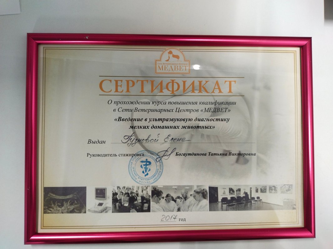 Документ или сертификат