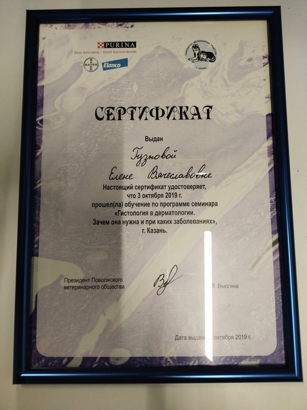 Документ или сертификат